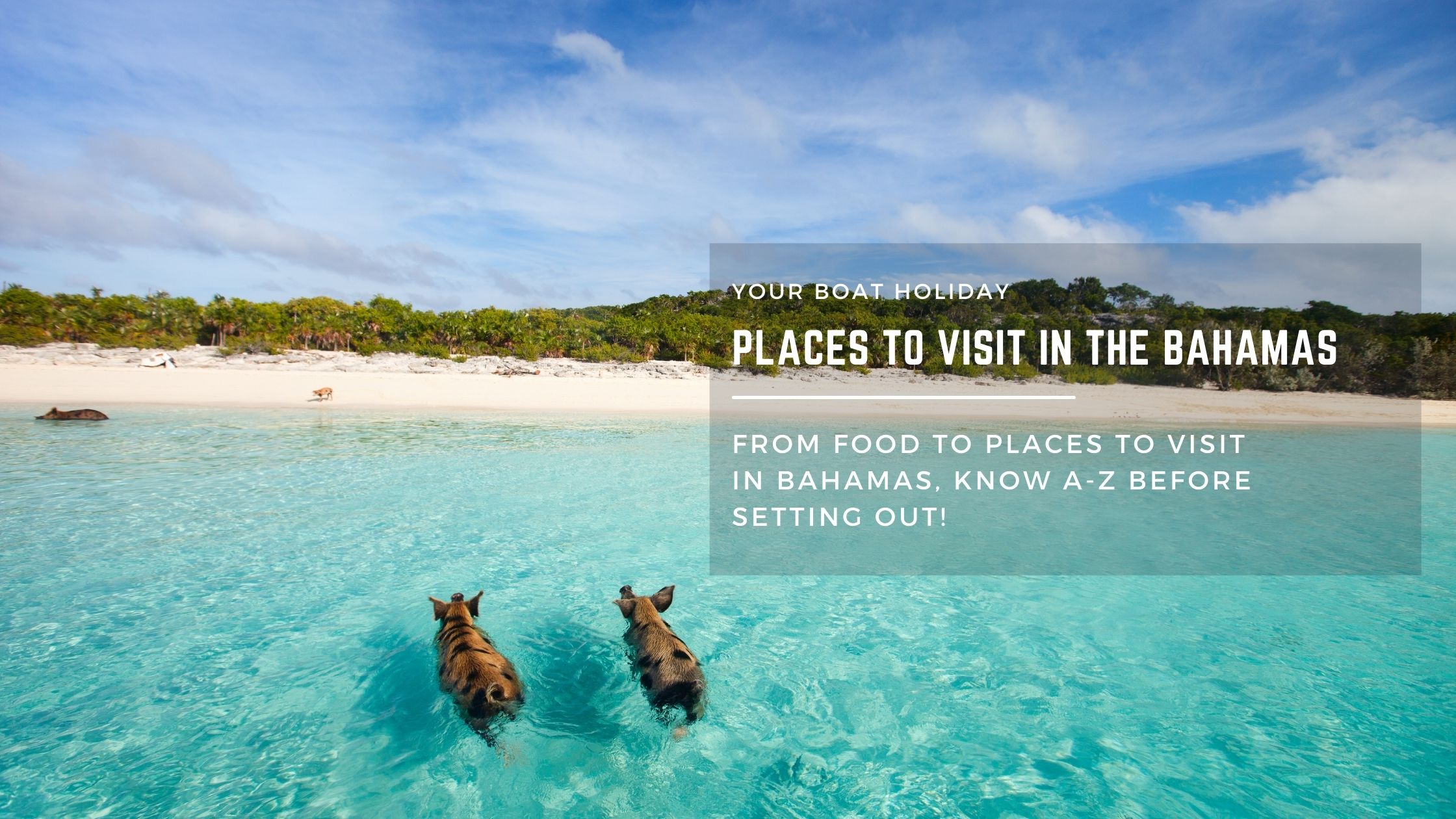 From Food to Places to Visit in the Bahamas - YBH